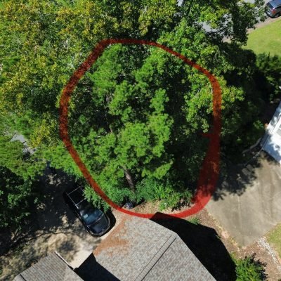 dji_fly_20250910_145312_97_1757608259819_photo_optimized